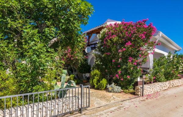 Apartment "Marija" - Otok Vir Exterior foto